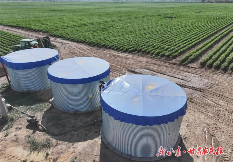 民勤县：“节水神器”助力 马铃薯喜获丰收