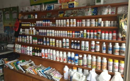 如何正确辨别农药真假?