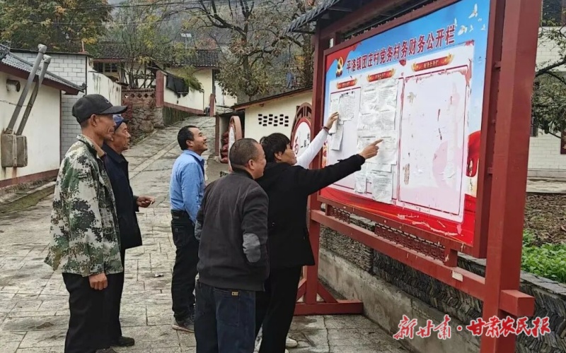 康县平洛镇:党建引领激活农区发展新动能