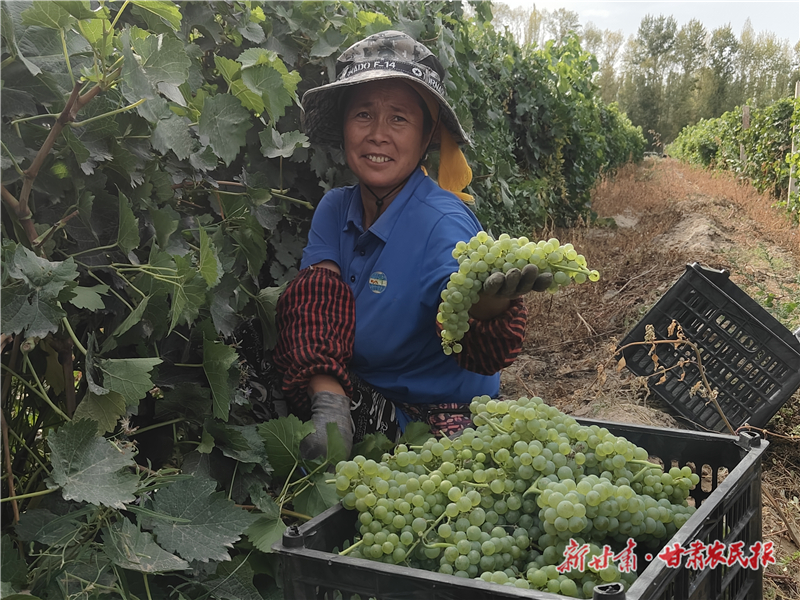 “种”出好原料 “酿”出国际范