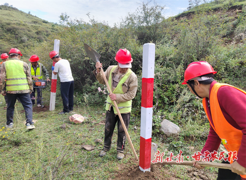 华亭：林草项目破局起势 绘就生态产业共兴新图景