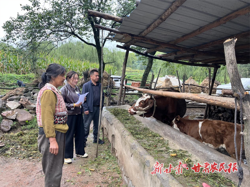 华亭:政策赋能 肉牛产业蓬勃发展