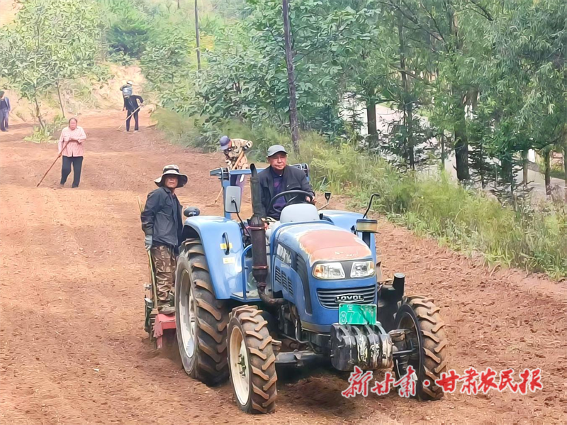 华亭:“铁牛”播“金粒”沃野复种忙