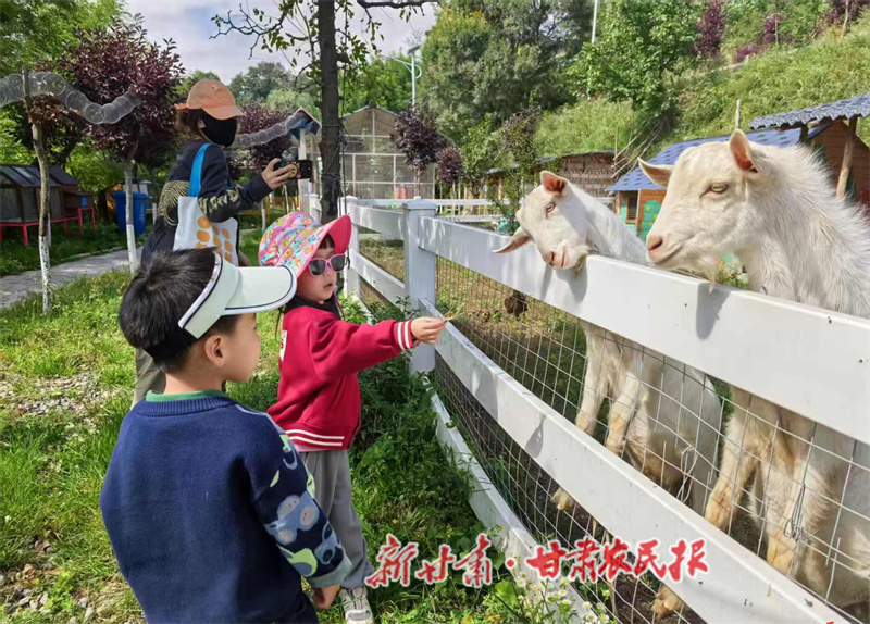 秦州文旅盛宴喜迎双节游客