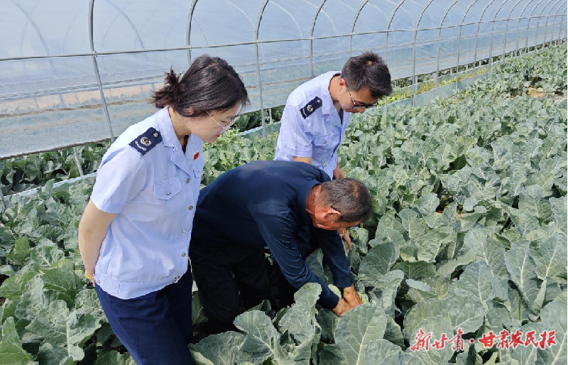 临夏税务：税惠春风润沃土 助农兴农正当时
