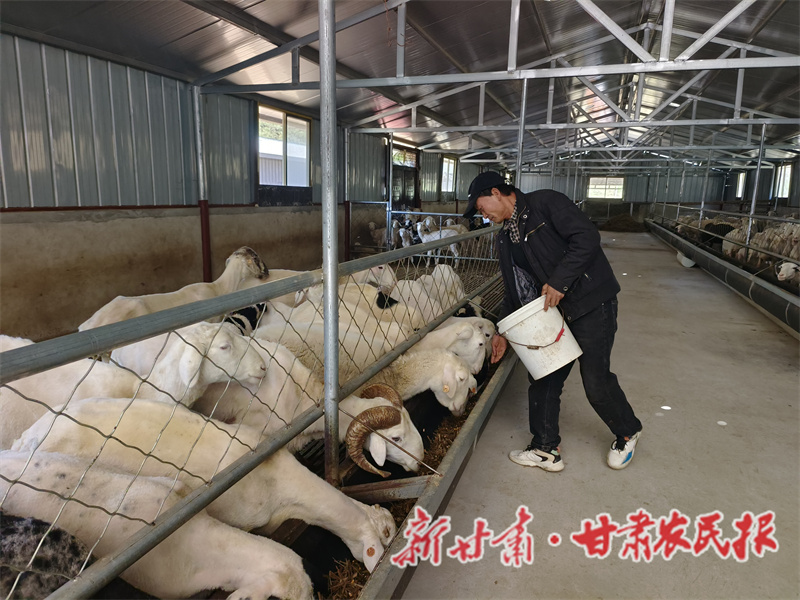 秦州区