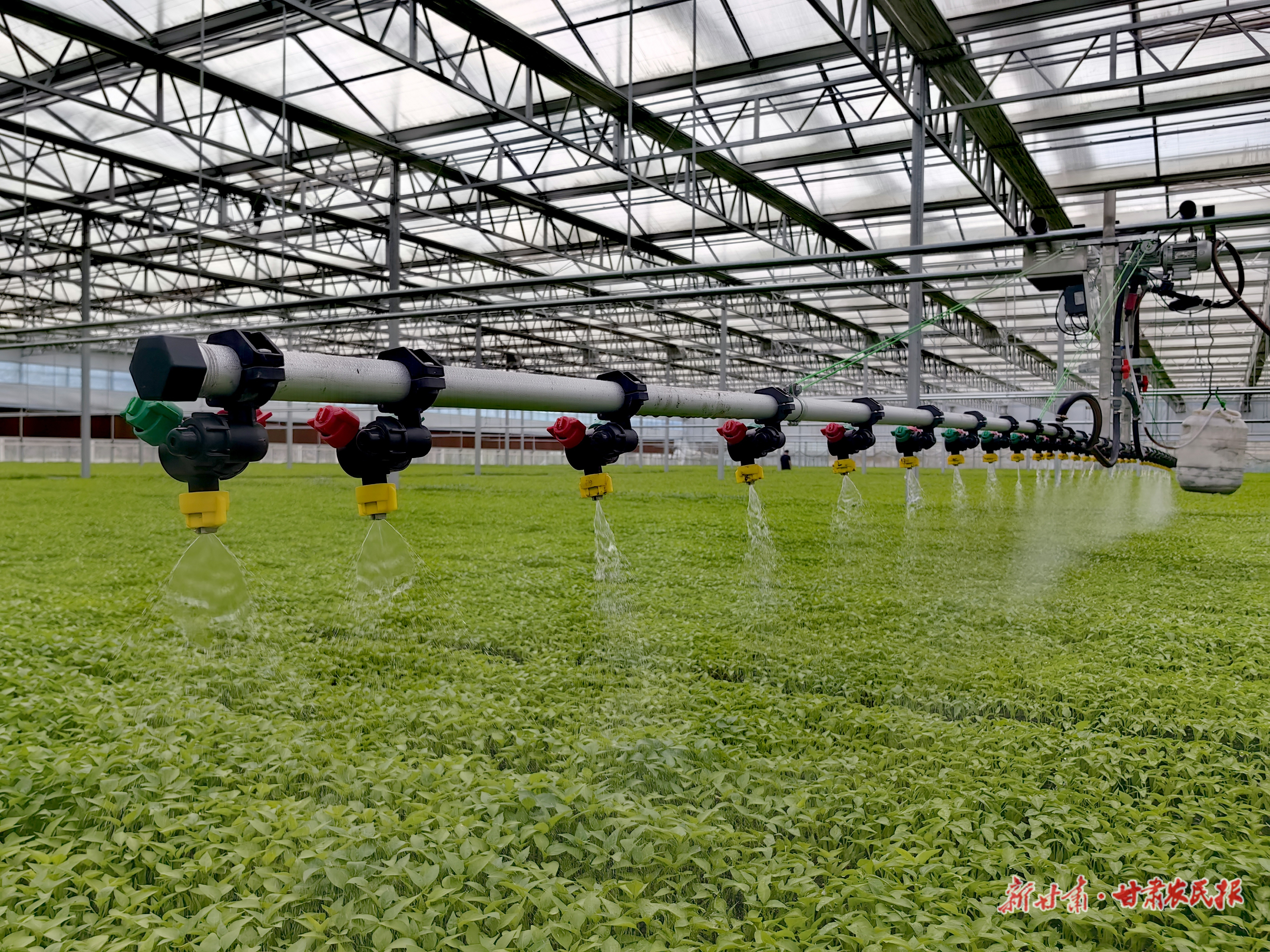 再造“春色”——镇原县探索数字农业赋能乡村振兴新路径