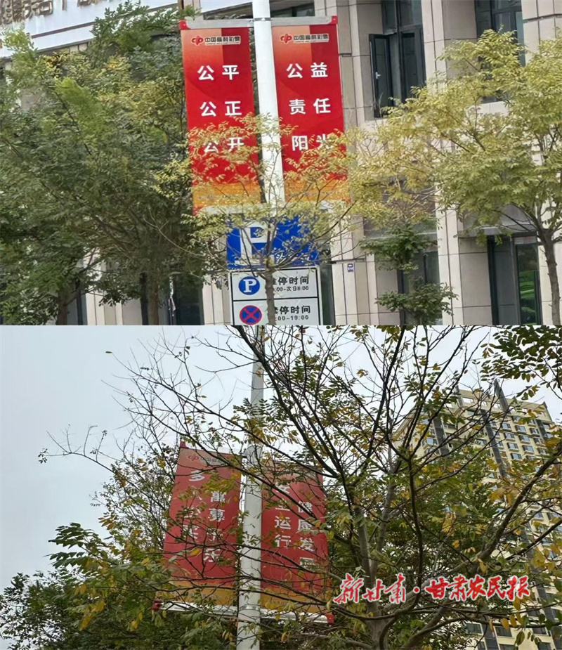 点亮公益路 福彩暖人心——嘉峪关福彩在市内多路段布置宣传道旗