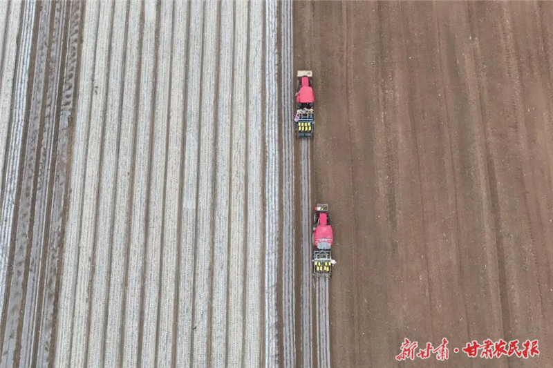 冬小麦播种正当时 田间农户种粮忙
