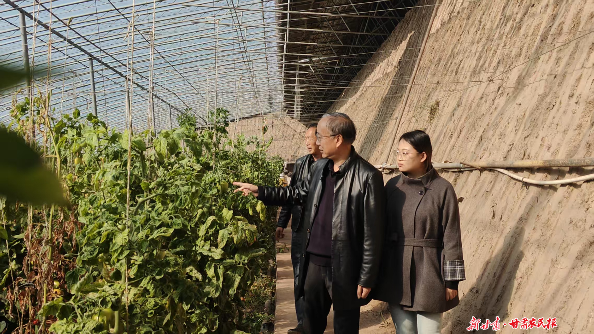 “小院”大作为 科技赋能张掖现代农业发展