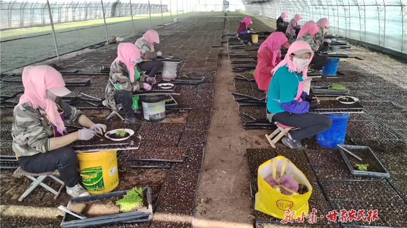 杨文成：敢为人先的&ldquo;辣椒书记&rdquo;