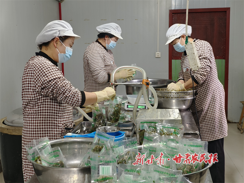 从天水餐桌到西北五省：秦州区齐寿镇齐明香酸菜“腌”出致富路 