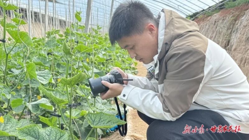 牛玉斌 庄稼的“专属摄影师”