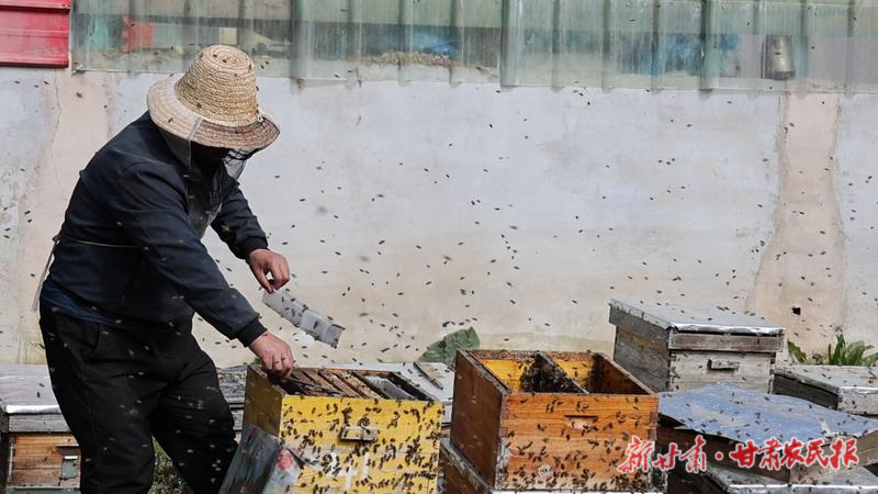 广河：“五小产业”酿出“甜蜜生活”