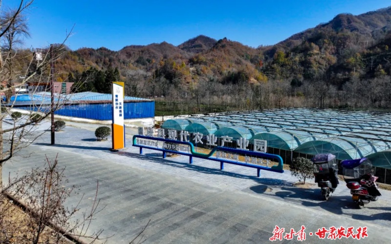 李沧&middot;康县：情越山海，产业花开