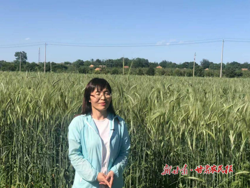 一粒种子引领的&ldquo;逆袭&rdquo;&mdash;&mdash;记甘肃农业大学草业学院杜文华教授