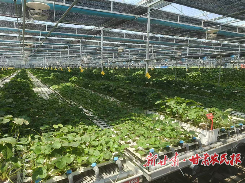 秦州区做好强基、兴业、宜居&ldquo;三篇文章&rdquo;