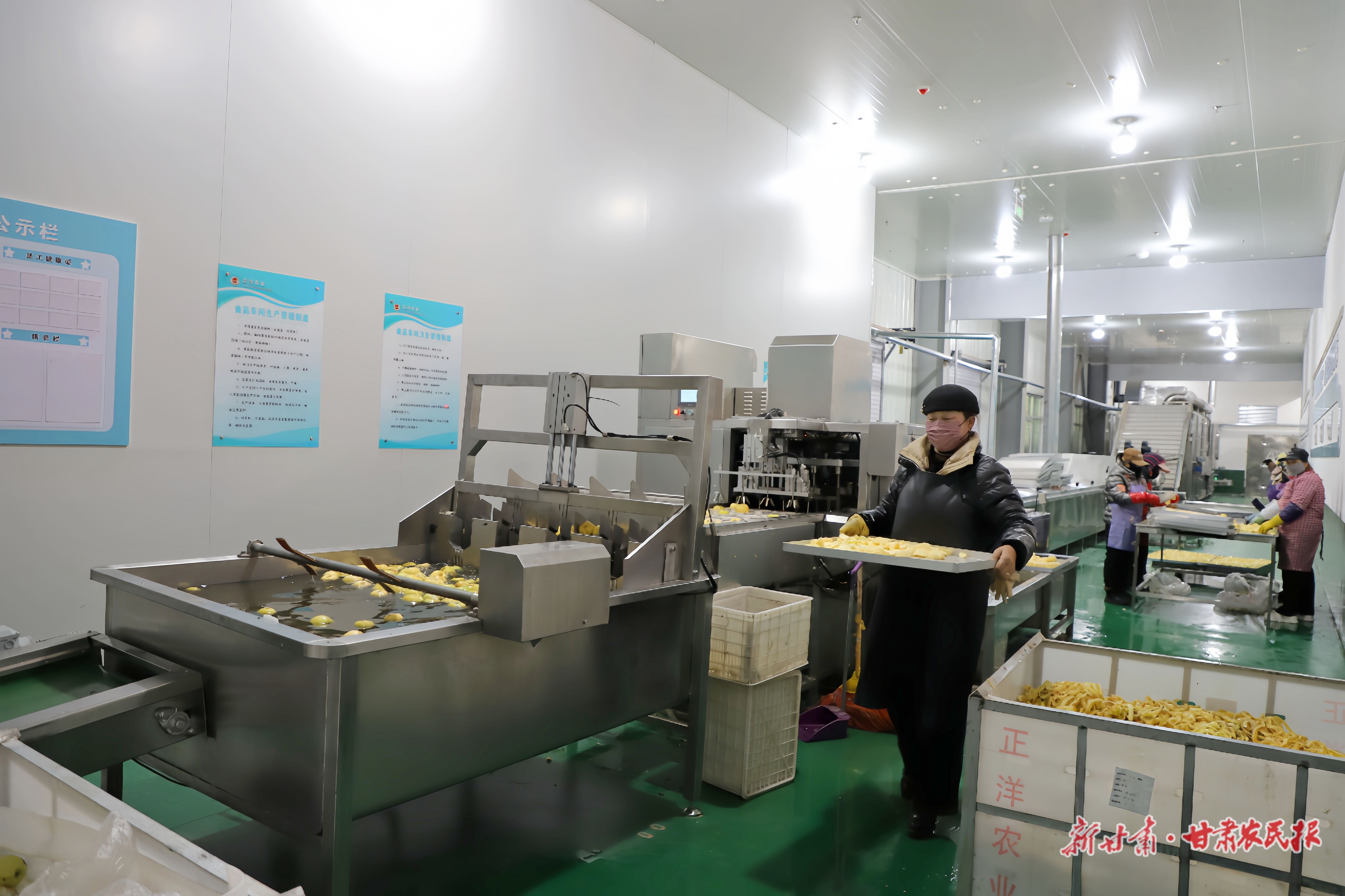 善金润果 香飘陇原&mdash;&mdash;中央专项彩票公益金助力宁县苹果产业振兴纪实