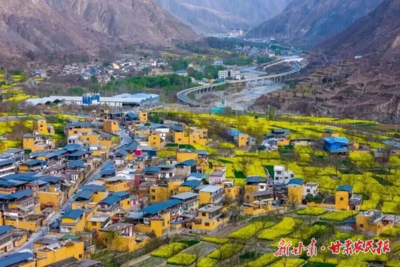 藏不住了！舟曲把春天酿成了诗