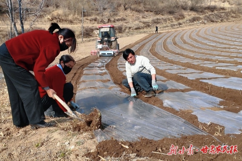 积石山：23万亩沃土披&ldquo;银装&rdquo;