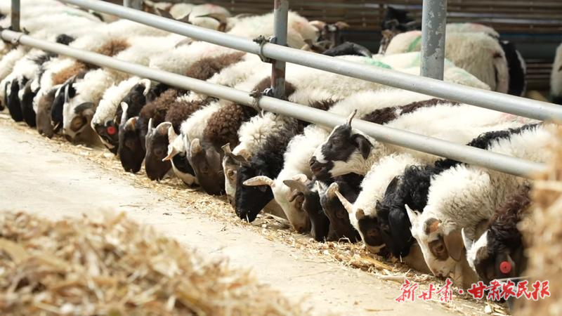 姜文明：从客运司机到养殖能手 跨界转型闯出致富路