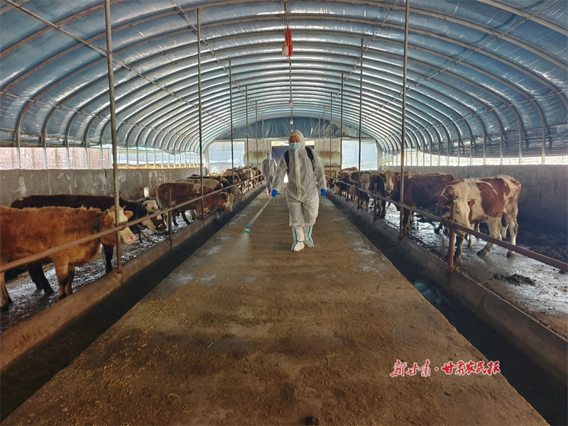 秦州区：打好春季动物&ldquo;防疫针&rdquo; 筑牢畜牧业 &ldquo;安全墙&rdquo;
