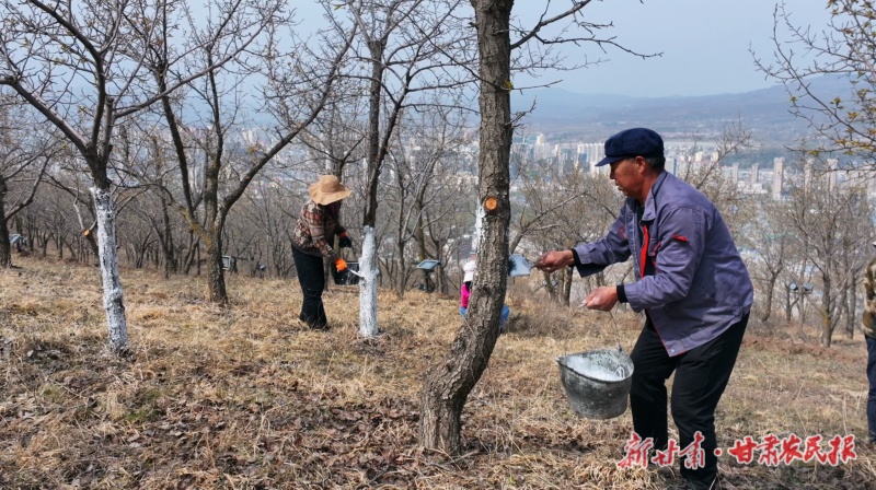 和政：科技赋能育硕果