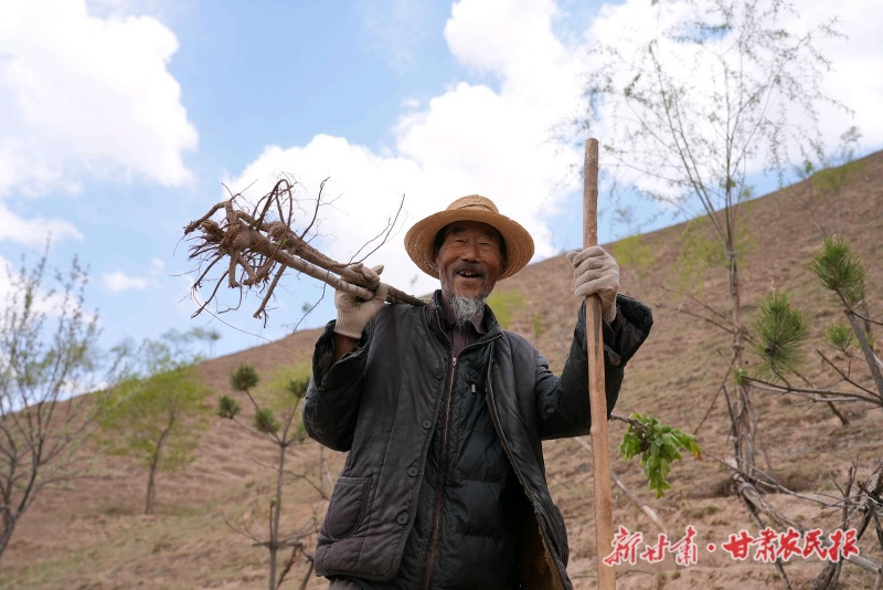 永靖八旬老人深山植树十三载