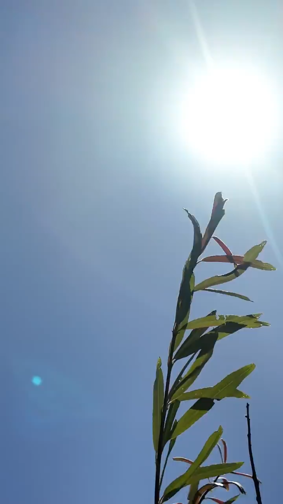 视频丨防溺水，不是限制快乐，而是守护回家的路