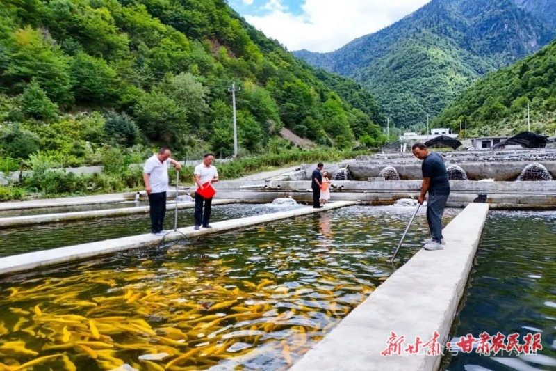 好鱼养在深山里