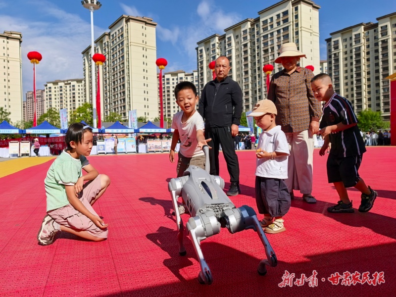 逛集市享服务！康乐县&ldquo;三下乡&rdquo;集中示范活动干货满满