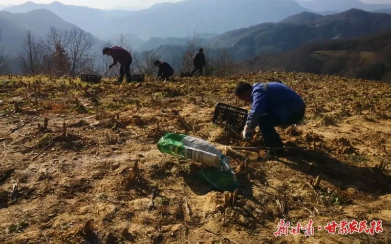 康  县